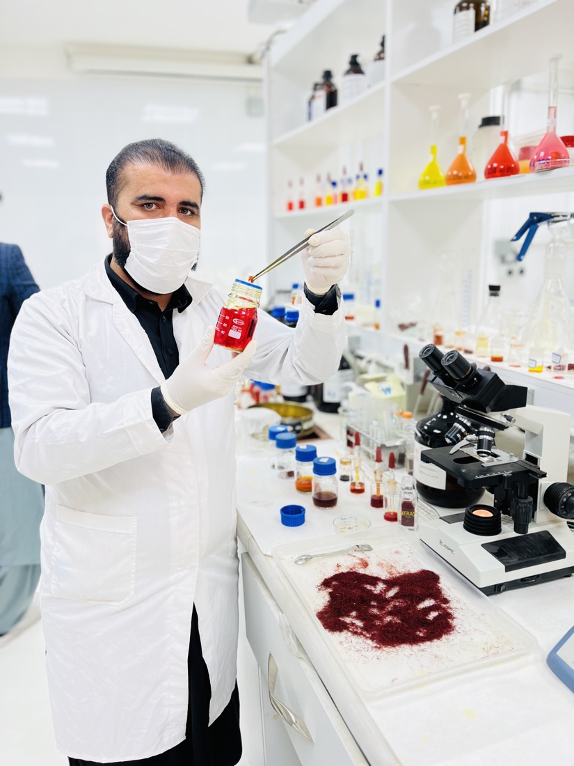 Laboratory analysis of saffron samples to detect adulteration