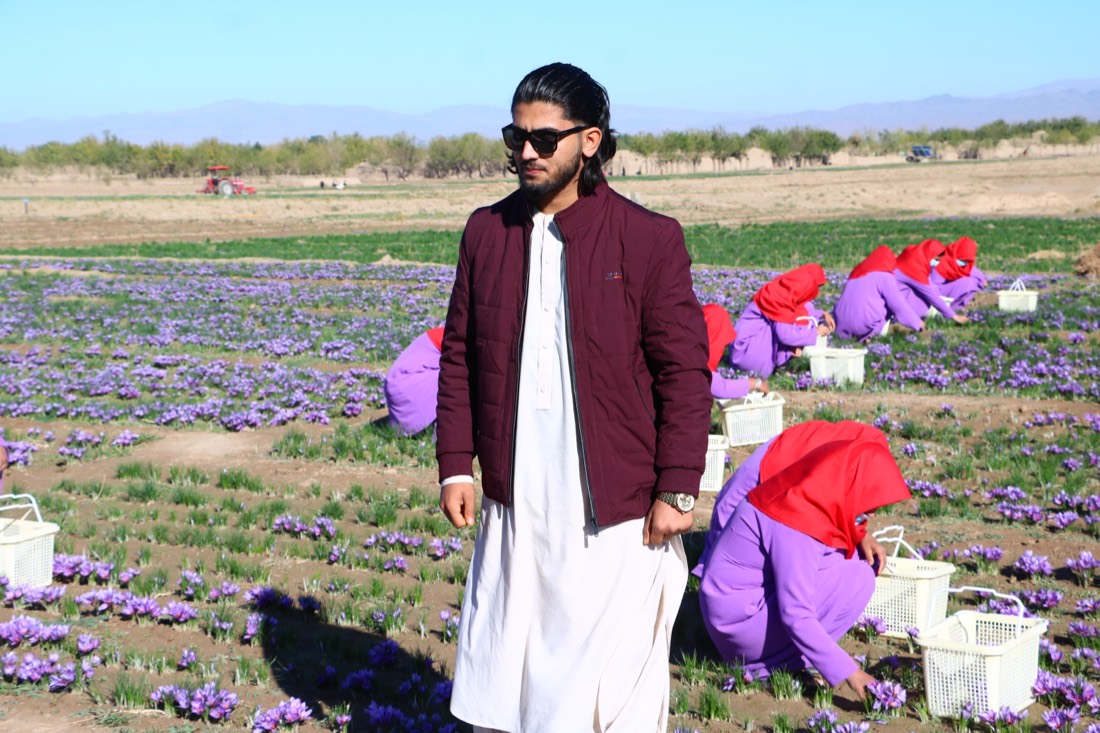 How Herat Became the World’s Premier Saffron Region